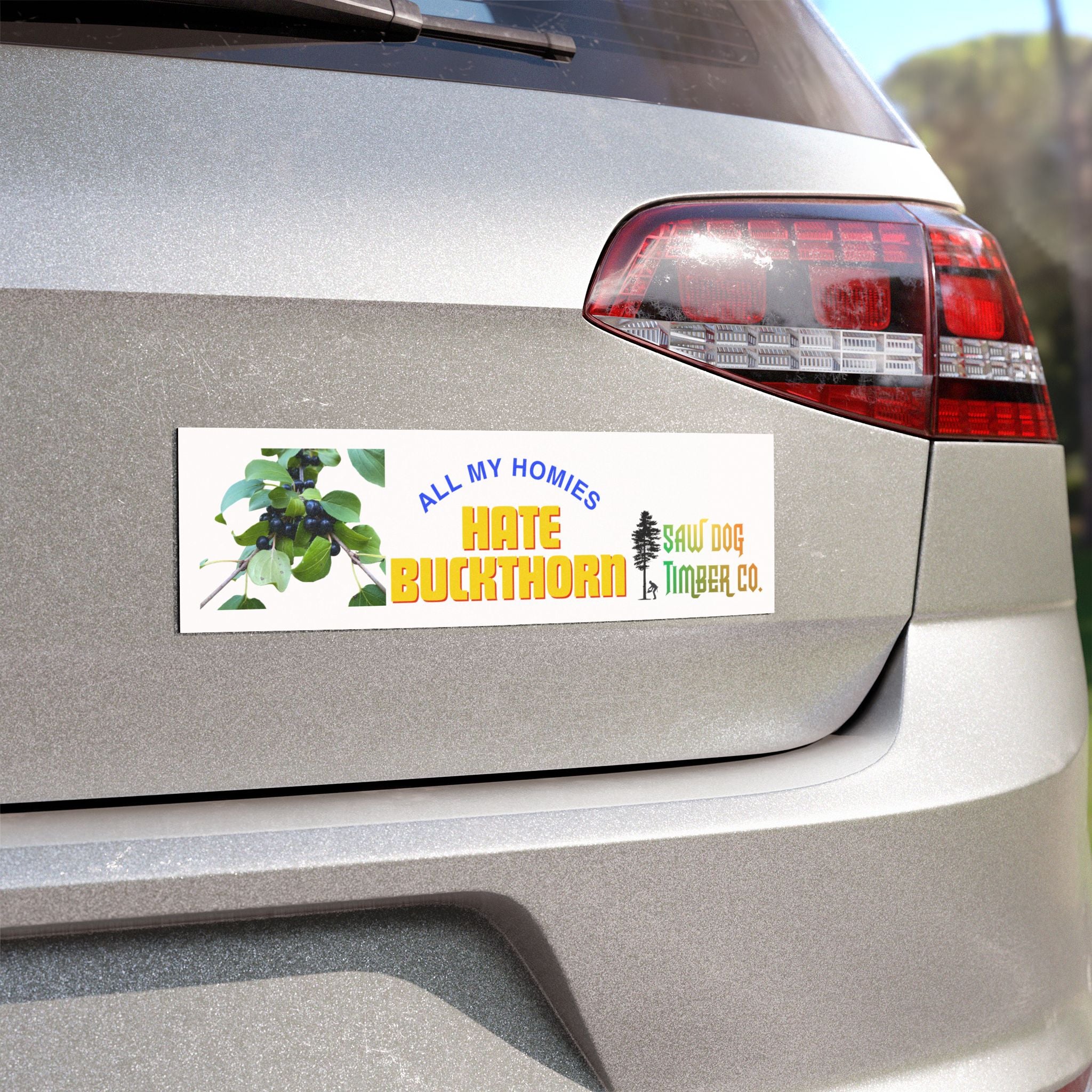 Car Magnets