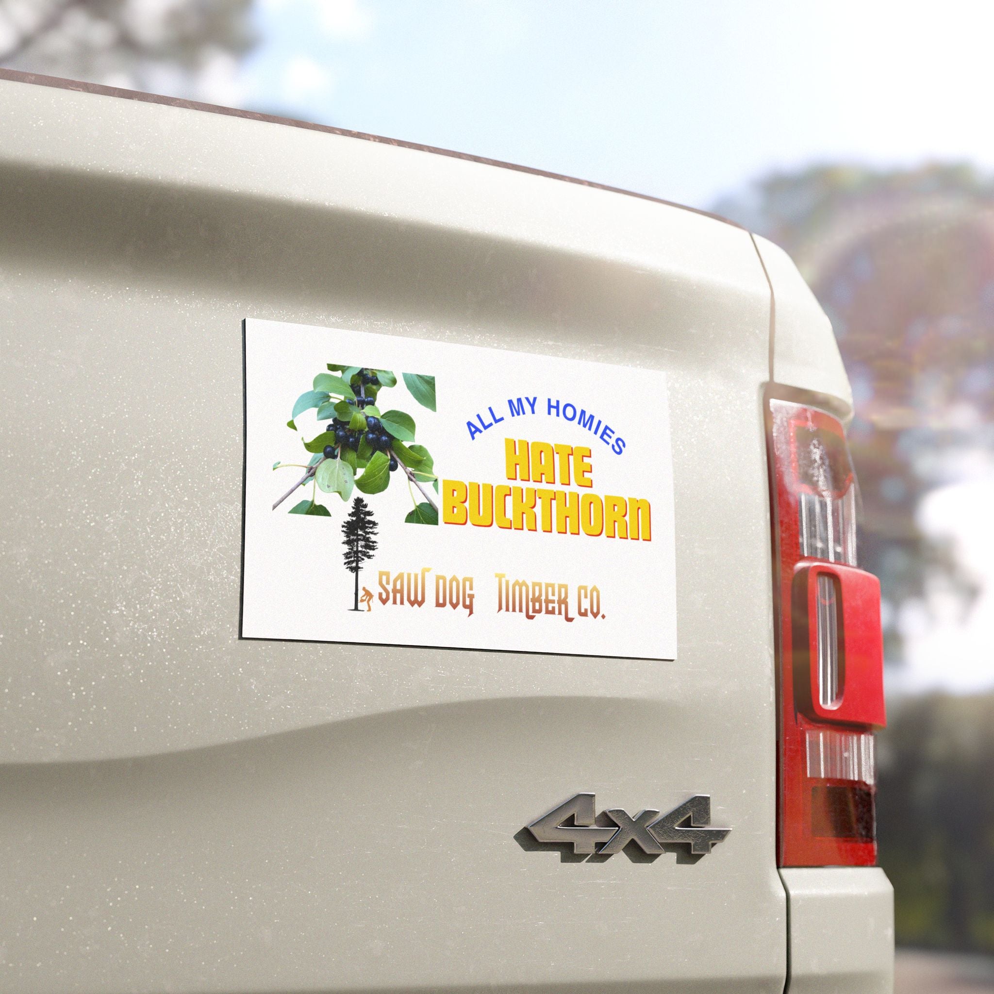 Car Magnets