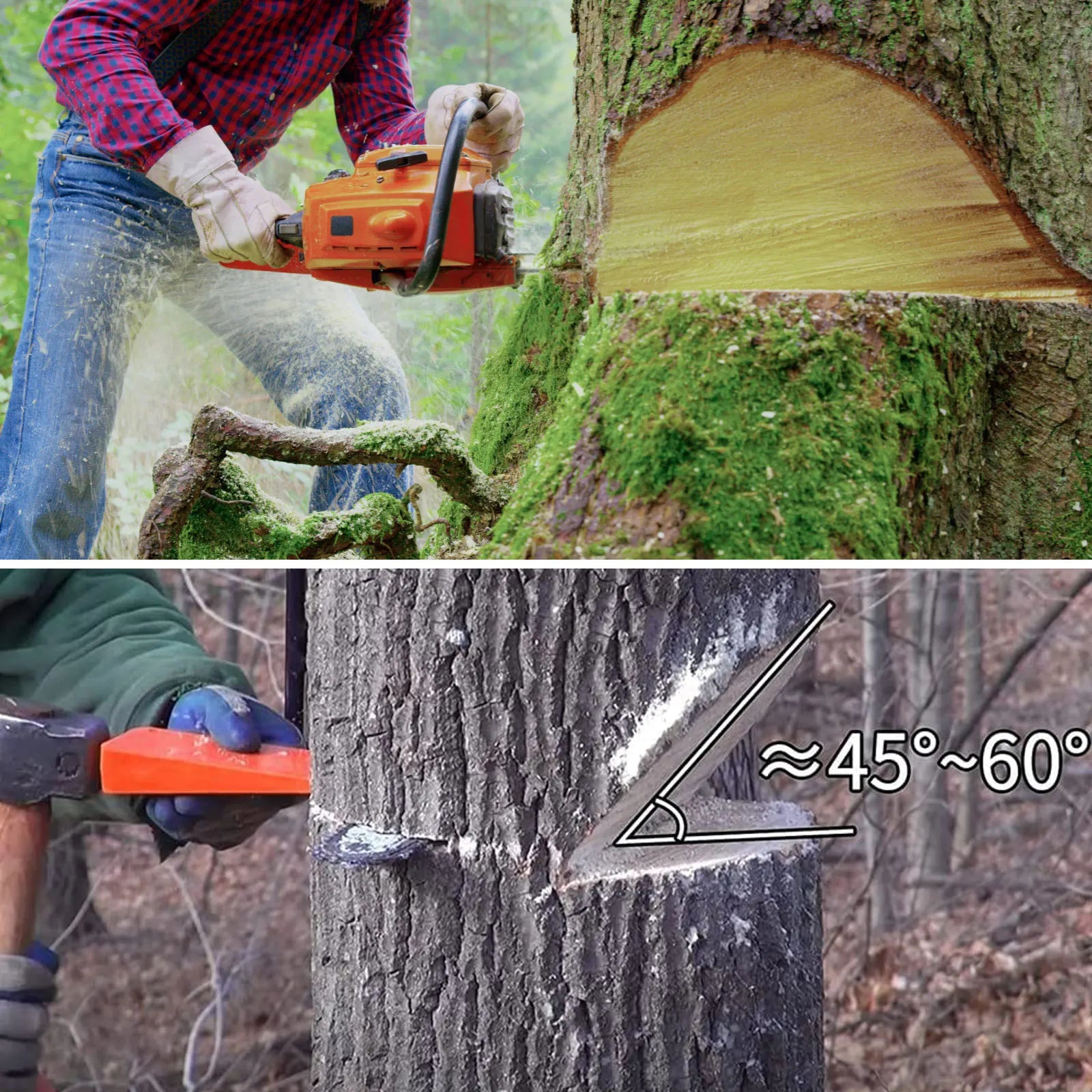3Pcs Tree Cutting Wedges Durable Plastic Effective Felling Wedge Logging Supplies Safety Chainsaw Accessories with Gloves